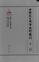 中国抗日战争史料丛刊 85 政治 国民党及汪伪