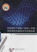 非能源矿产资源 经济 环境相协调的关键技术与过程控制