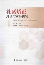 社区矫正理论与实务研究