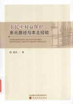 农民工权益保护 多元路径与本土经验