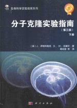 分子克隆实验指南  下