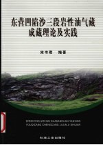 东营凹陷沙三段岩性油气藏成藏理论及实践