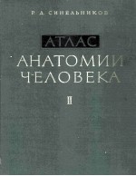 атлас анатомии человека том 2 учение о внутренностях и сосудах