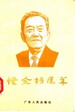 怀念杨康华