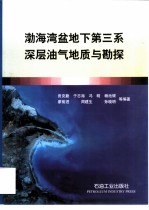 渤海湾盆地下第三系深层油气地质与勘探