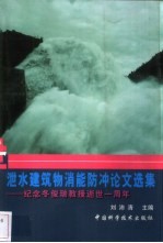 泄水建筑物消能防冲论文选集 纪念冬俊瑞教授逝世一周年