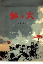 血与火  家史