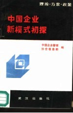 中国企业新模式初探 理论·方案·政策