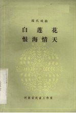 白莲花恨海情天  现代戏曲