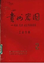 贵州宏图 科技、经济、社会发展探索 工业专辑 2