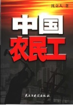 中国农民工