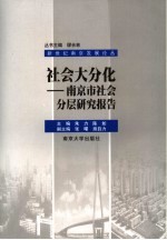 社会大分化 南京市社会分层研究报告