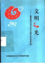 文明之光-秦皇岛电力公司九五年文明职工标兵事迹汇编