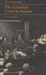 THE CRIMINAL COURT IN ACTION SECOND EDITION