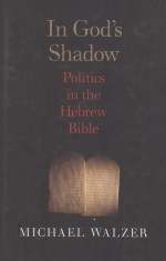 IN GOD'S SHADOW POLITICS IN THE HEBREW BIBLE