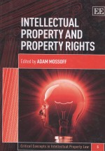 INTELLECTUAL PROPERTY AND PROPERTY RIGHTS