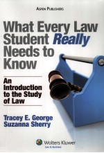 WHAT EVERY LAW STUDENT REALLY NEEDS TO KNOW AN INTRODUCTION TO THE STUDY OF LAW