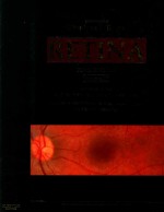 RETINA VOLUME THREE FIFTH EDITION