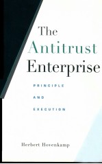 THE ANTITRUST ENTERPRISE PRINCIPLE AND EXECUTION