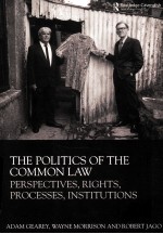 THE POLITICS OF THE COMMON LAW PERSPECTIVES