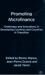 promoting microfinance challenges and innovations in developing countries and countries in transiti