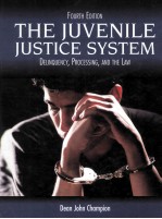 THE JUVENILE JUSTICE SYSTEM DELINQUENCY