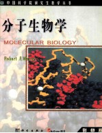 MOLECULAR BIOLOGY 分子生物学