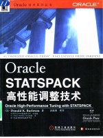 Oracle STATSPACK高性能调整技术