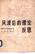 风波后的理论反思