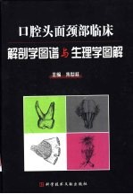 口腔头面颈部临床解剖学图谱与生理学图解