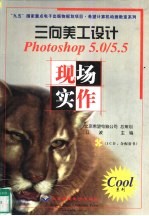 三向美工设计 Photoshop 5.0/5.5现场实作