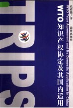 WTO知识产权协定及其国内适用