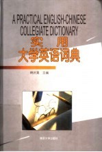 实用大学英语词典