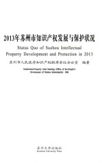 2013年苏州市知识产权发展与保护状况