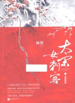 大宋女刺客 完美终结 下