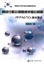 两组分聚合物基纳米复合材料 PP/PA6/TiO2纳米复合