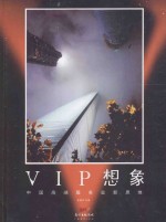 VIP想象 中国高端服务业新思维