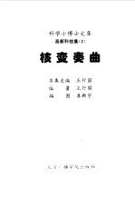 科学小博士文库 高新科技集 核变奏曲