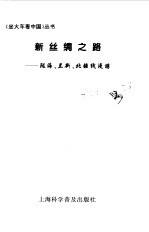 新丝绸之路 陇海、兰新、北疆线漫游