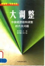 大调整 中国经济结构调整的六大问题