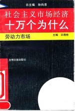 社会主义市场经济十万个为什么 劳动力市场分册