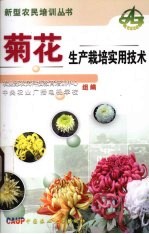 菊花生产栽培实用技术