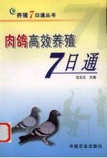 肉鸽高效养殖7日通