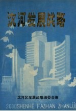 沈河发展战略