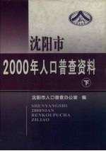 沈阳市2000年人口普查资料（计算机汇总） 下