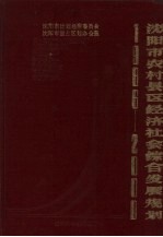 沈阳市农村县区经济社会综合发展规划