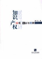 知识产权 反观、妄议与臆测