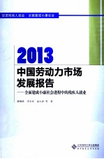 当代中国发展报告  2013中国劳动力市场发展报告