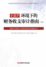 ERP环境下的财务收支审计指南  下