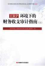 ERP环境下的财务收支审计指南  上